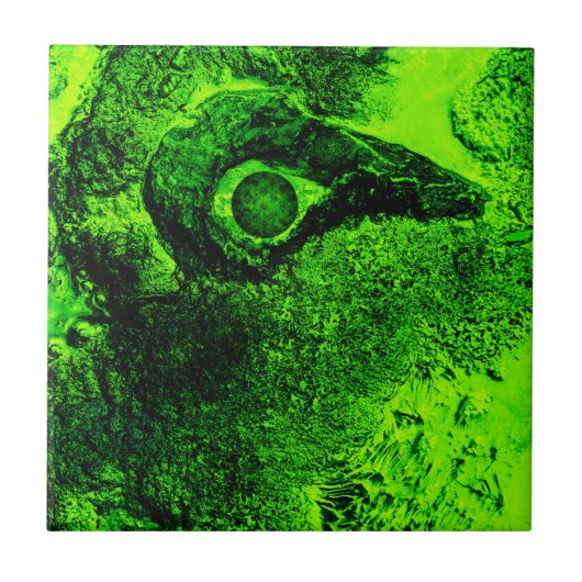 緑を求めて タイル (正面)