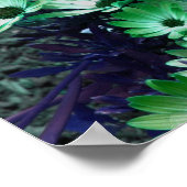 緑アフリカデイジーフラワーポスター ポスター (角)