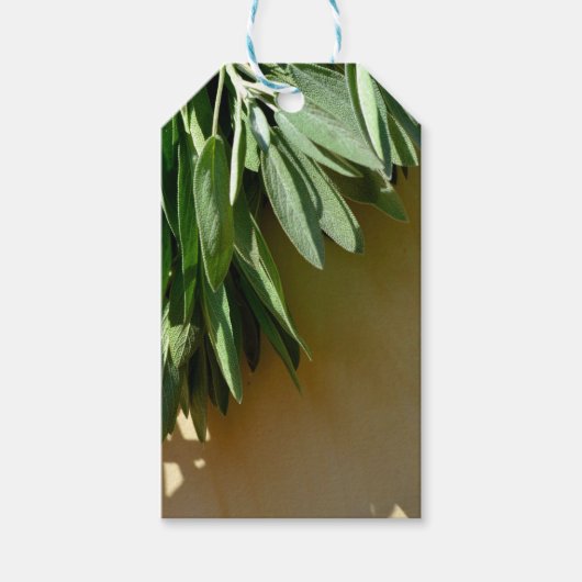 緑エレガントの植物離れの生刈りハーブ ギフトタグ (正面)