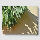 緑エレガントの植物離れの生刈りハーブ ゲストブック (裏面)