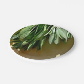 緑エレガントの植物離れの生刈りハーブ ペーパープレート (アングル)