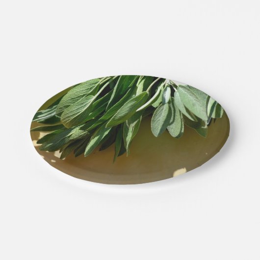 緑エレガントの植物離れの生刈りハーブ ペーパープレート (アングル)