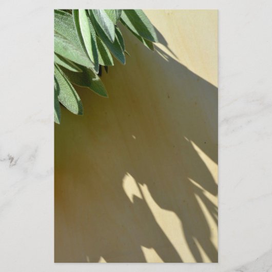 緑エレガントの植物離れの生刈りハーブ 便箋 (正面)