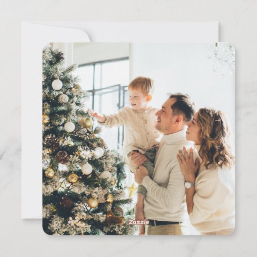 緑エレガント水牛の格子雪の写真 シーズンカード (裏面)