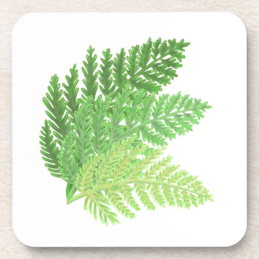 緑エレガント水色シダの木離れ地 コースター (正面)