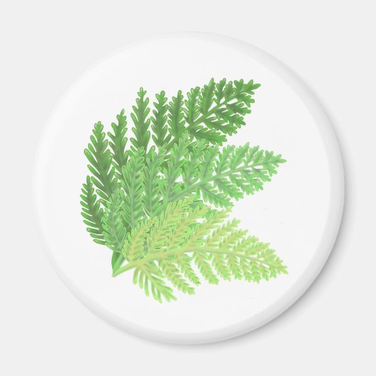 緑エレガント水色シダの木離れ地 マグネット (正面)