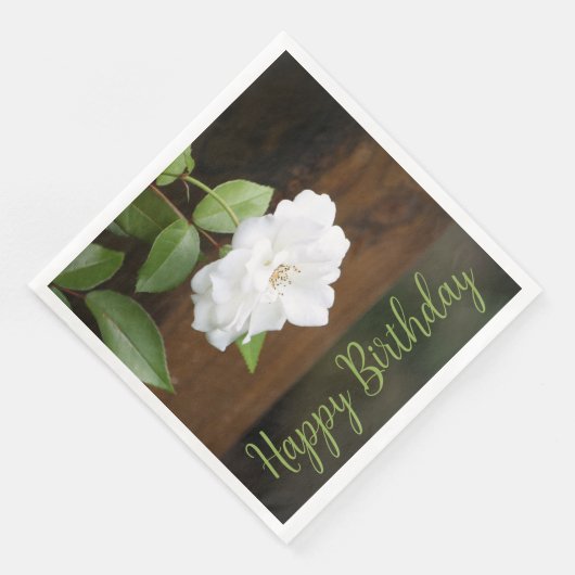 緑エレガント白のフローラ (コーナー)