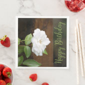 緑エレガント白のフローラ (インサイチュ)