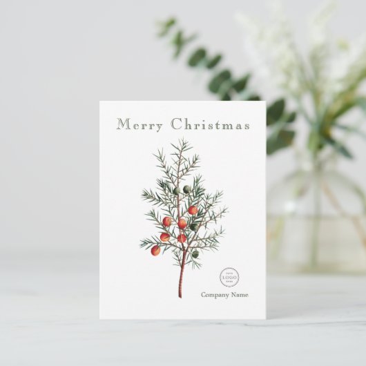 緑エレガント色のクリスマスベリー シーズンポストカード (スタンド正面)