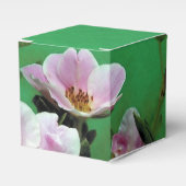 緑エレガント色の淡紅色の紅色のバラ フェイバーボックス (正面サイド)