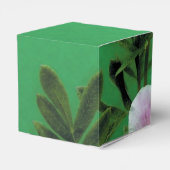 緑エレガント色の淡紅色の紅色のバラ フェイバーボックス (裏面サイド)