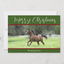 緑エレガント赤アラビア馬1写真クリスマス