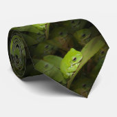 緑カエル ネクタイ (ロール)