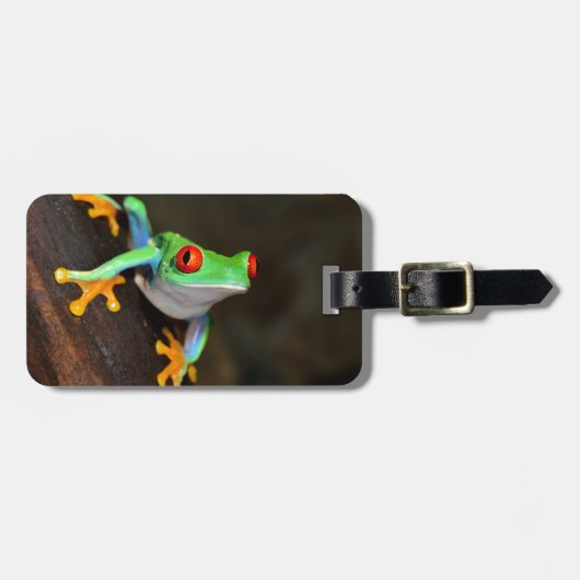 緑カエル ラゲッジタグ (正面横)