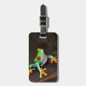 緑カエル ラゲッジタグ (正面縦)