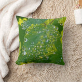 緑カッコいいの葉の水滴 クッション (ブランケット)