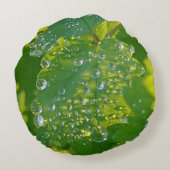 緑カッコいいの葉の水滴 ラウンドクッション (裏面)