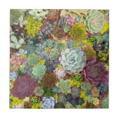 緑カラフル色の多汁 タイル (正面)