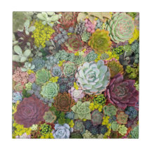 緑カラフル色の多汁