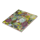 緑カラフル色の多汁 タイル (側面)