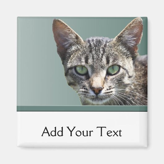 緑ストライプのの目の虎猫 マグネット (正面)