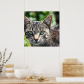 緑ストライプの目の灰色の猫 ポスター (キッチン)