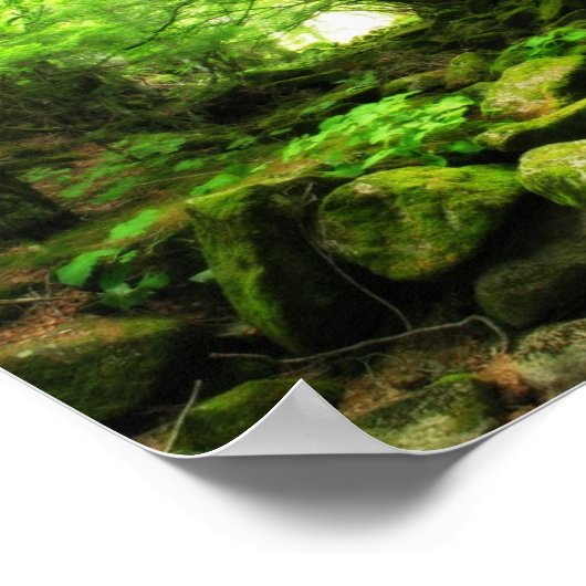 緑トンネル ポスター (角)