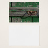 緑ドアの錆びたドアハンドル (正面&裏面)