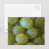 緑ブドウ ポストカード (正面/裏面)