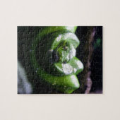 緑ヘビ ジグソーパズル (横)