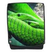 緑ヘビ バックパック (正面)