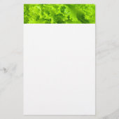 緑レタス 便箋 (正面)