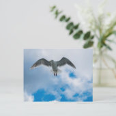 緑内翼カモメ ポストカード (スタンド正面)