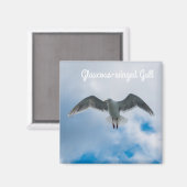 緑内翼カモメ マグネット (正面/裏面)