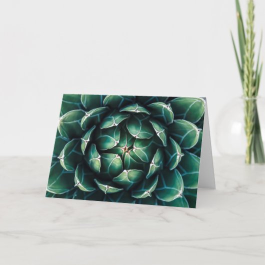 緑及び白いSucculent カード (正面)