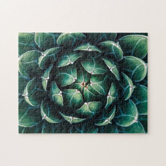 緑及び白いSucculent ジグソーパズル (横)