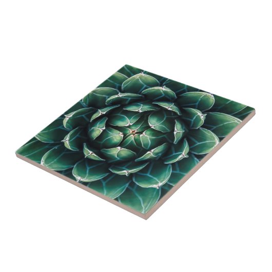 緑及び白いSucculent タイル (側面)