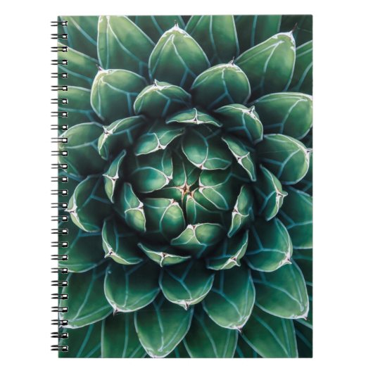 緑及び白いSucculent ノートブック (正面)
