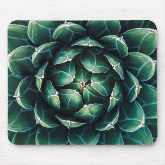 緑及び白いSucculent マウスパッド (正面)