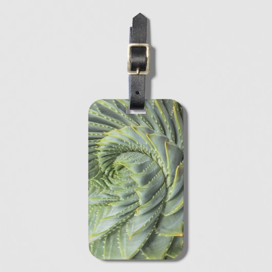緑及び白いSucculent ラゲッジタグ (正面縦)