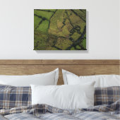 緑地空中写真 キャンバスプリント (インサイチュ (寝室))