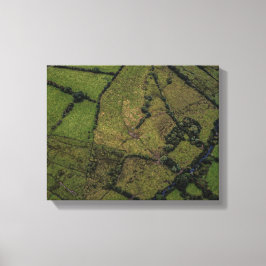 緑地空中写真 キャンバスプリント