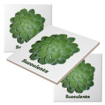 緑多汁写真天然植物学 タイル<br><div class="desc">植物性タイル，自然によって設計！，クローズアップ写真の緑のエチェヴェリア多肉植物と。自然に美しいタイルは、円記号、アクセントのタイル、芸術や工芸品や観葉植物やガーデニングとして使用する。この文字はカスタマイズ可能であるか、削除することができる。JLW_PHOTOGRAPHYによるオリジナル植物写真。</div>