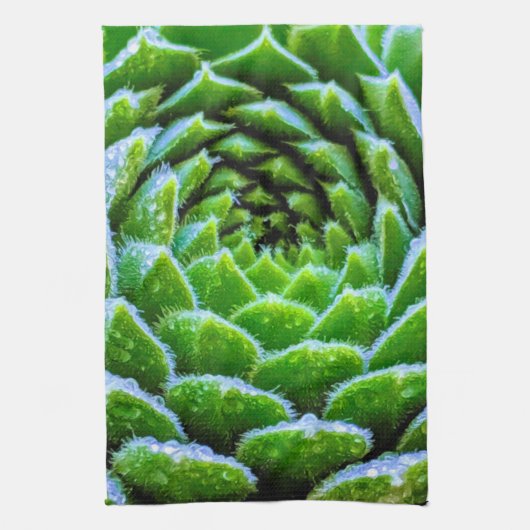 緑多肉類自然撮影茶タオル キッチンタオル (縦)