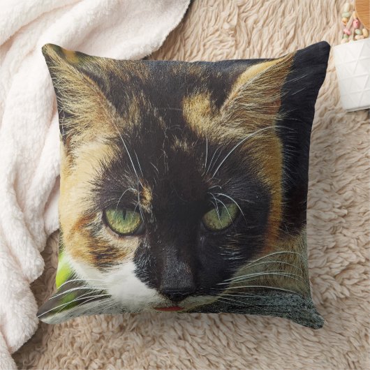 「緑得の目が見える！」/CAT HEAD SHOT クッション (ブランケット)