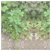 緑植物織物 ファブリック (クローズアップ)