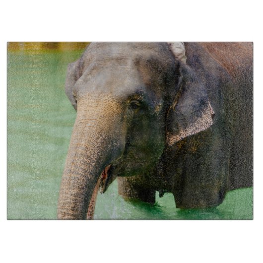 緑水、動物の写真のアジアゾウ カッティングボード (正面)