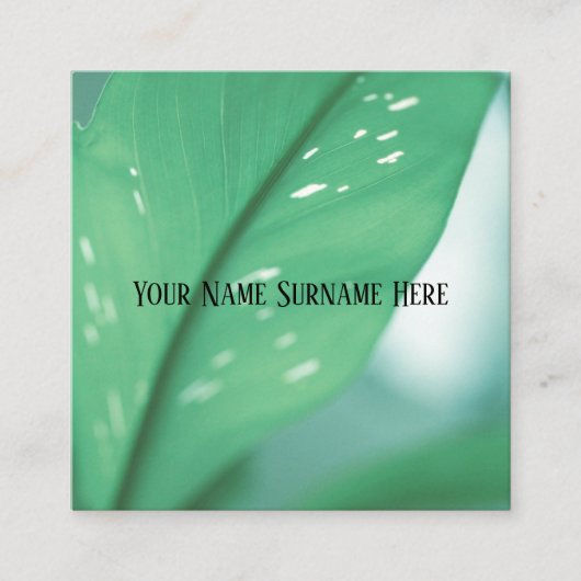 緑淡い色の植物葉感じ自然カード スクエア名刺 (正面)