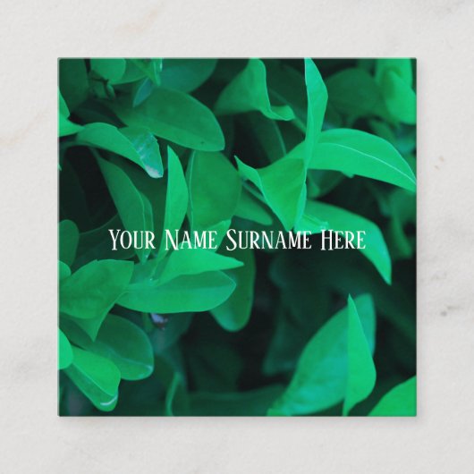 緑淡い色の植物葉感じ自然カード スクエア名刺 (正面)