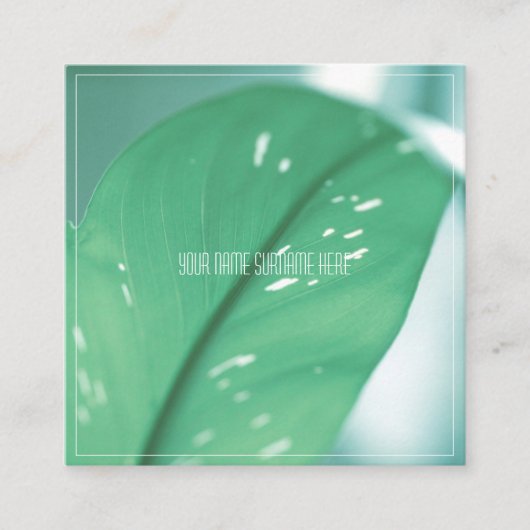 緑淡い色の植物葉感じ自然カード スクエア名刺 (正面)